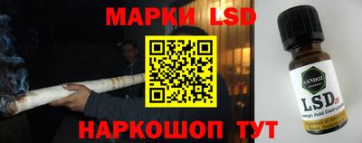 гидра Вышний Волочёк