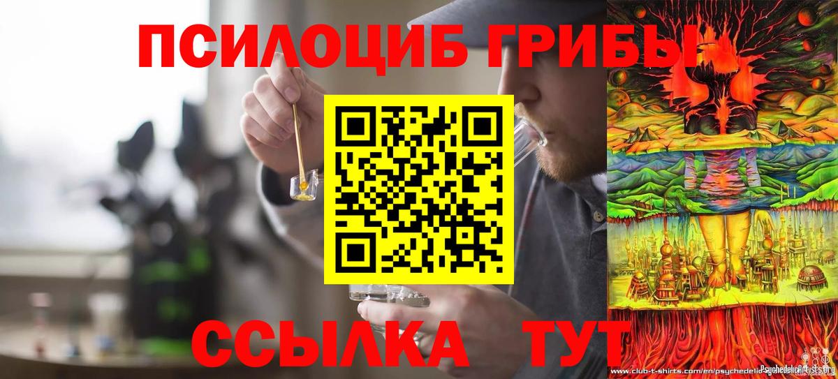 Ишим  Галлюциногенные грибы Magic Shrooms  Псилоцибиновые грибы мухоморы  купить наркоту  Вход с VPN 
